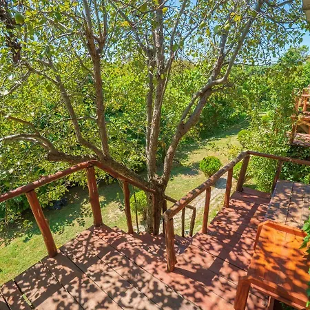 Μοτέλ Masal Evi 3*